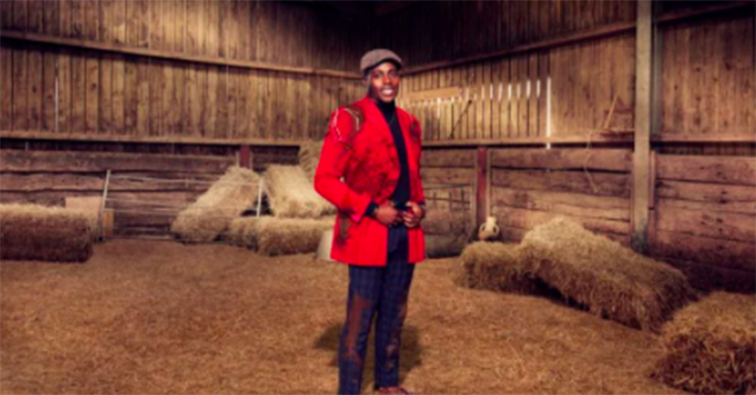 harry on celebs on the farm