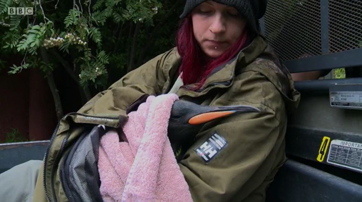 Fingal and a keeper on BBC Scotland series Inside The Zoo