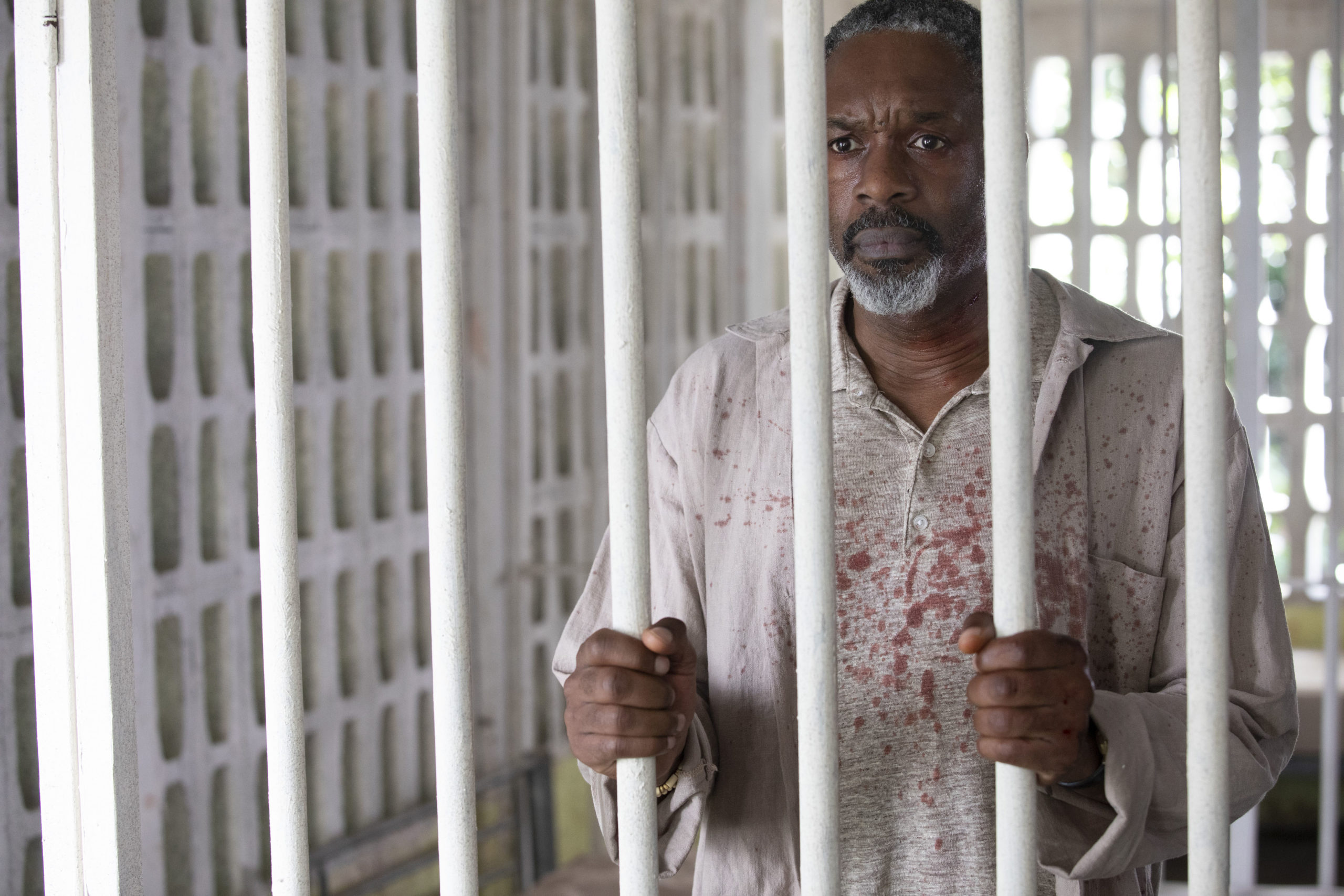 Wil Johnson as Emmet Peterson in Death in Paradise