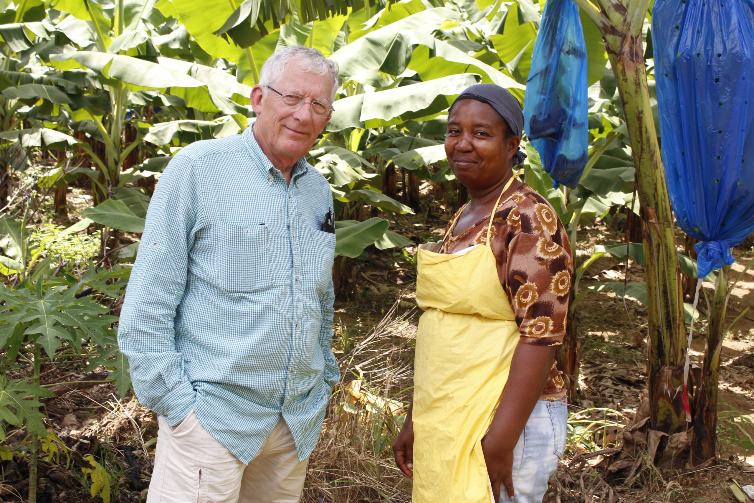 nick hewer in st lucia
