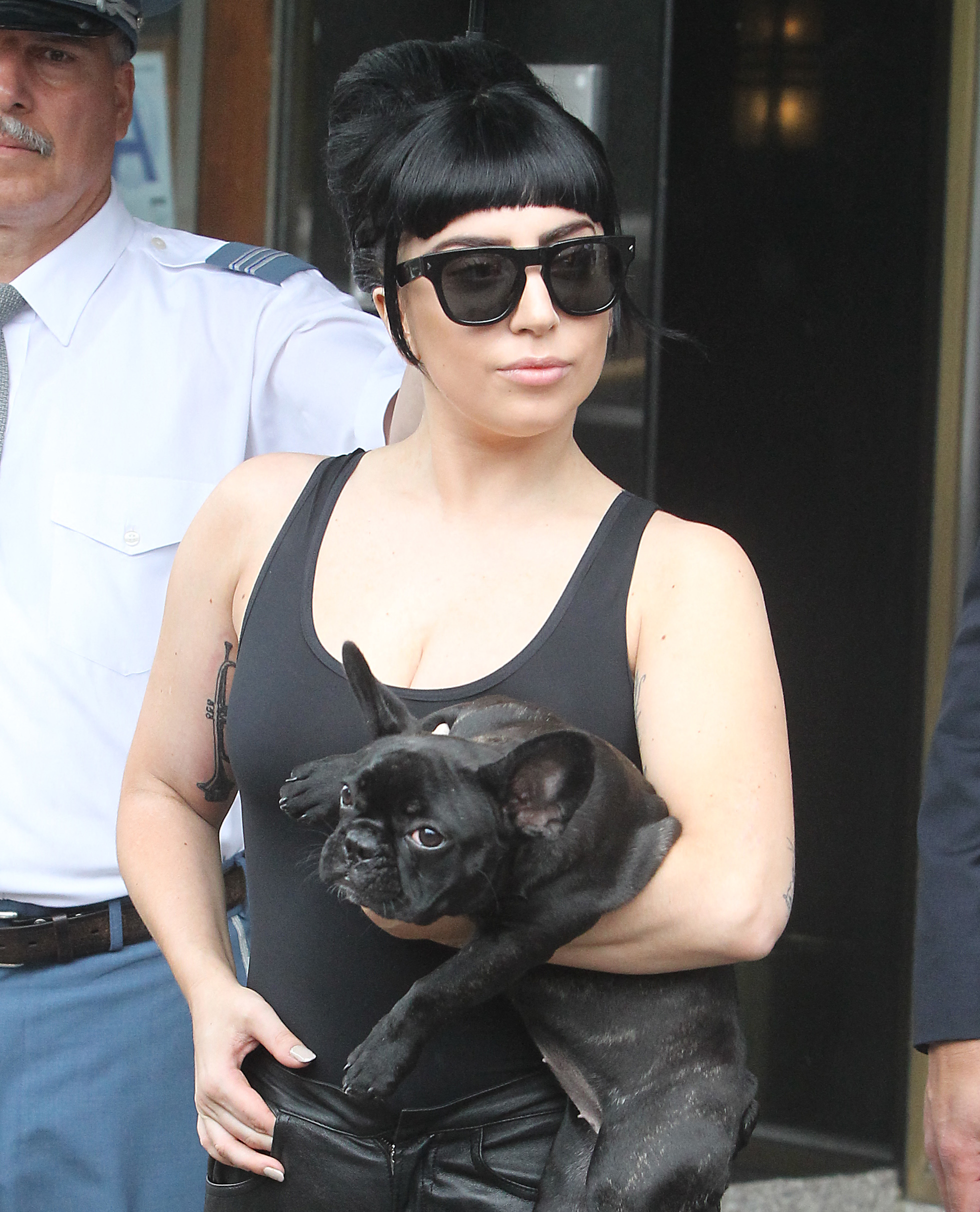 Lady Gaga dogs