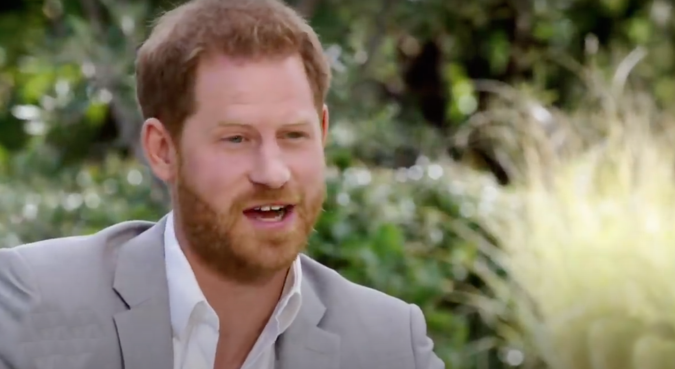 prince harry on Oprah