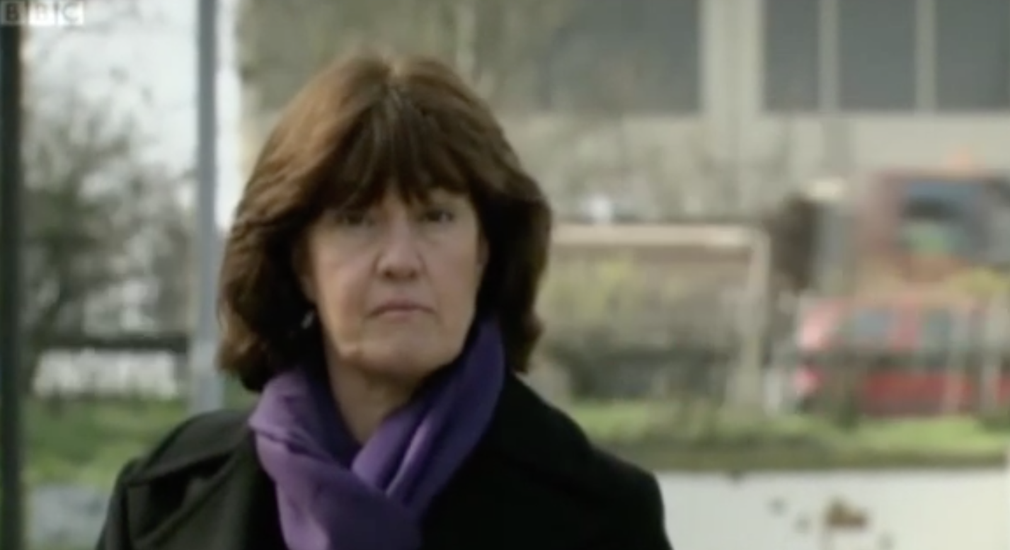 Jane Corbin on Panorama