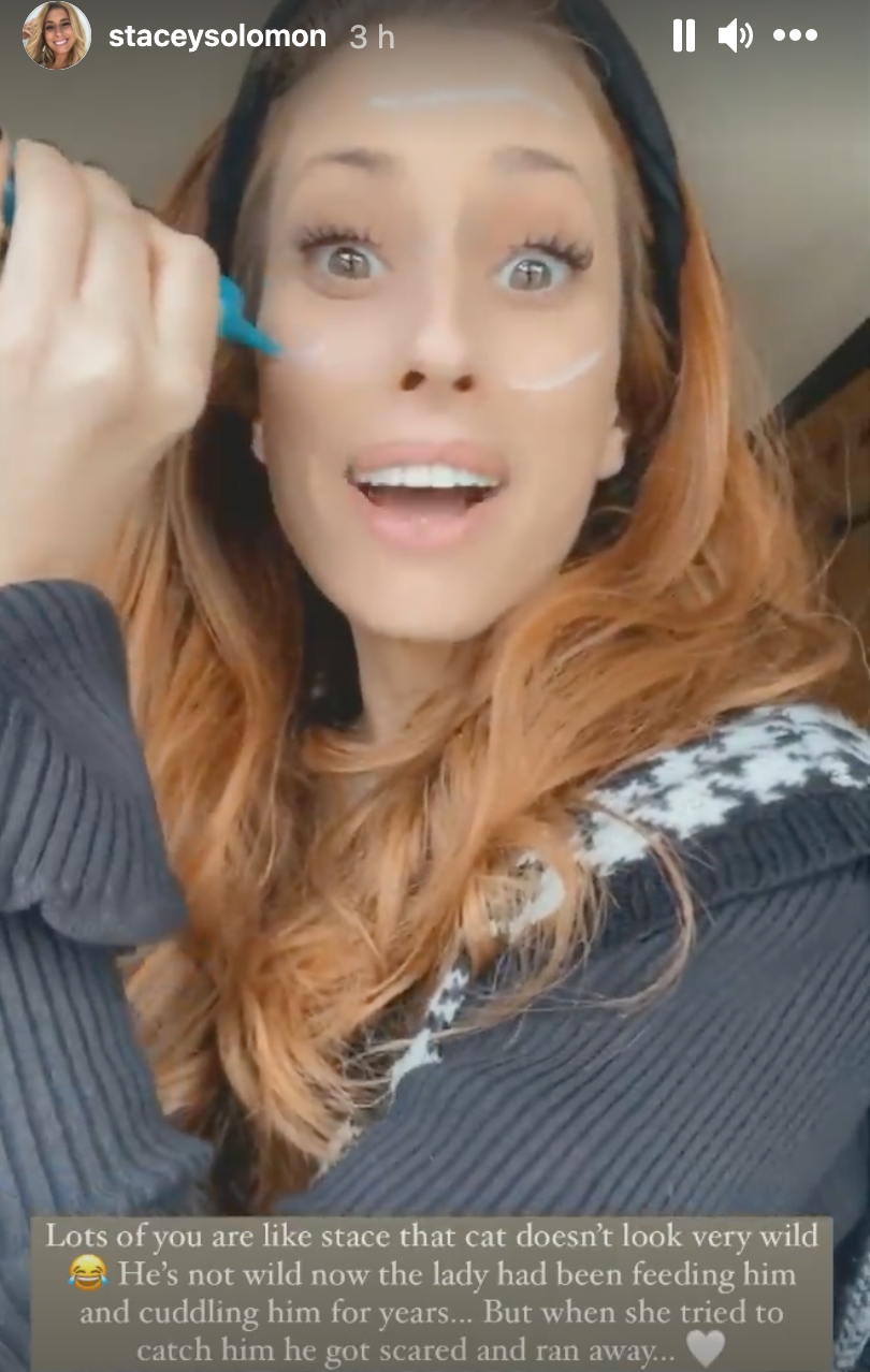 Stacey Solomon reveals new cat