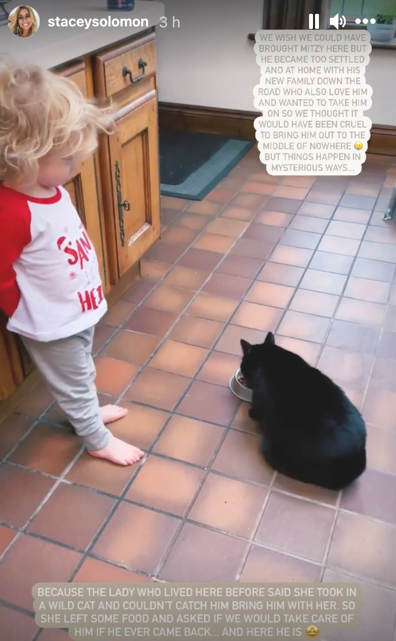 Stacey Solomon reveals new cat
