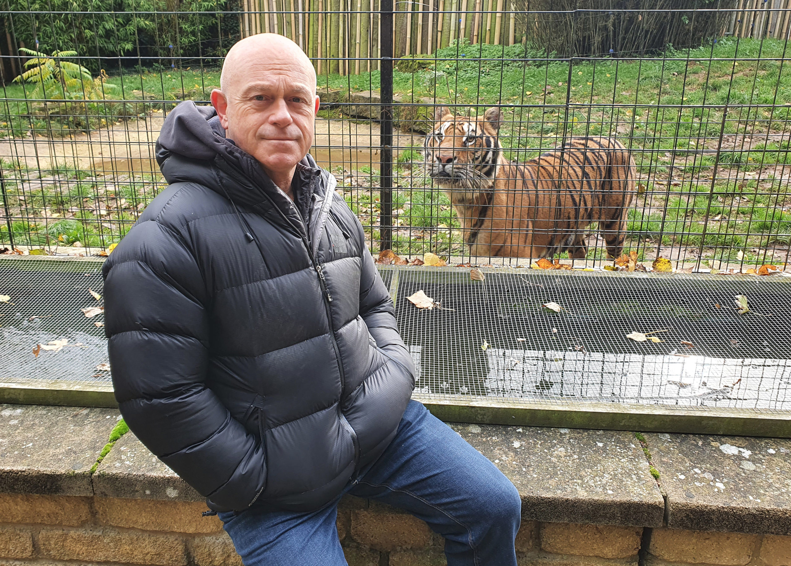Britain's Tiger Kings - On The Trail With Ross Kemp (Credit: ITV1)