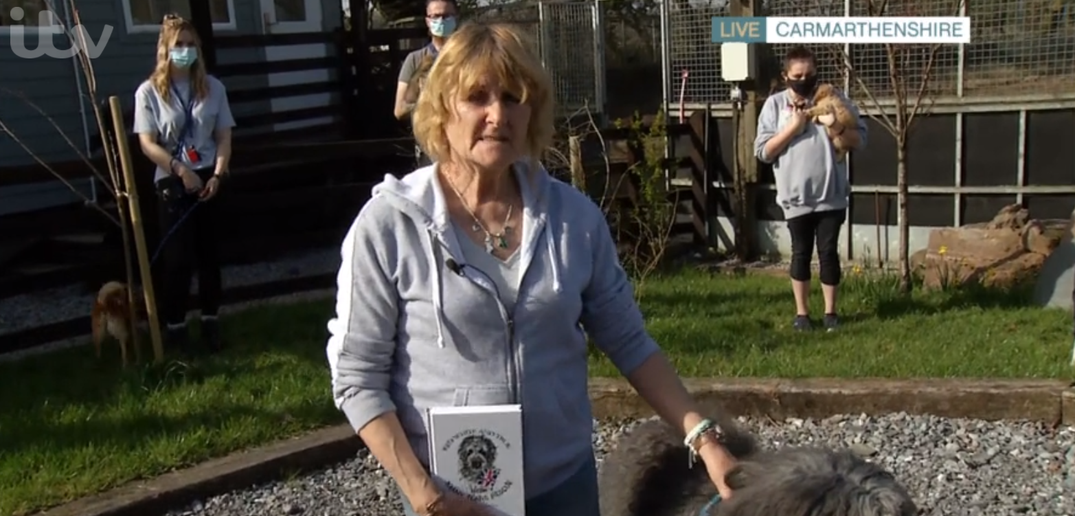 This Morning dog shelter