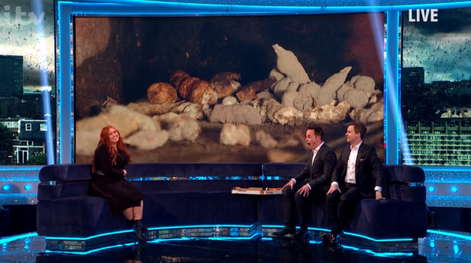 Maddie with Ant and Dec on ITV show Saturday Night Takeaway