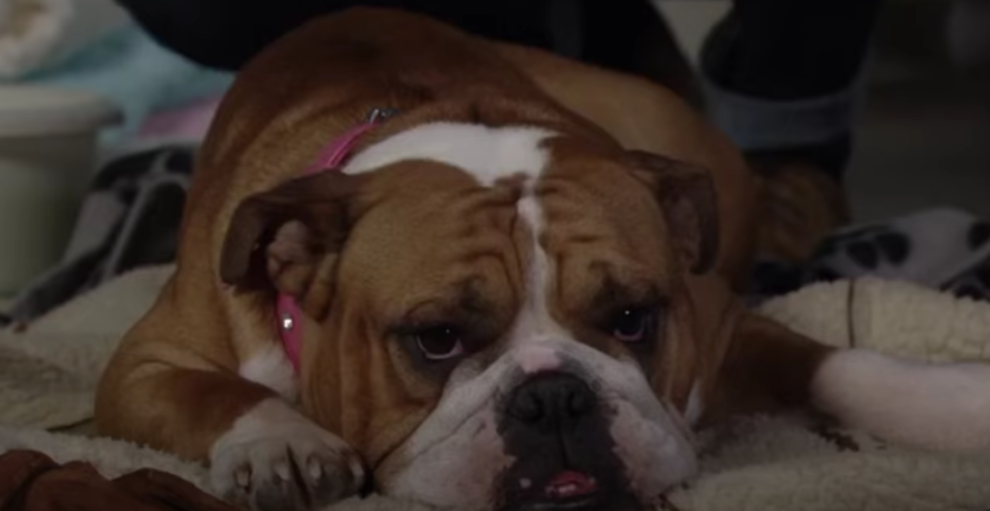 EastEnders announces they're changing the name of The Queen Vic