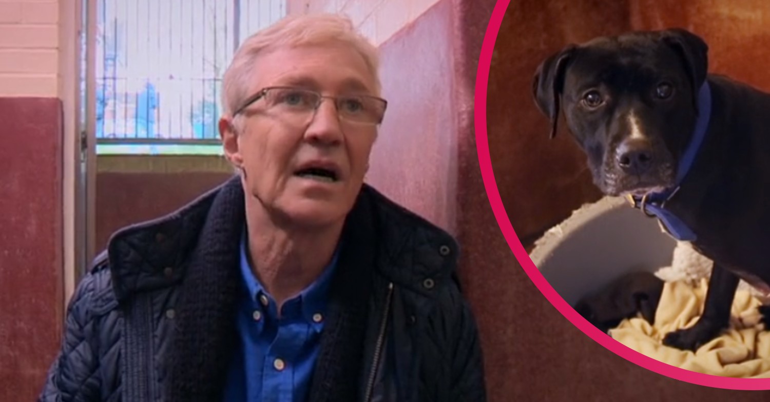 Paul O'Grady