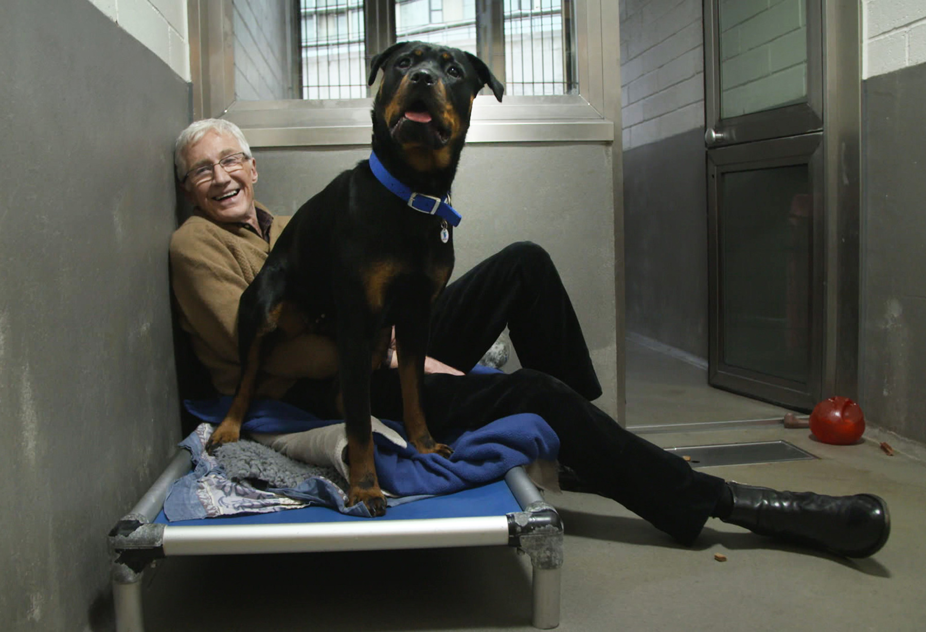 Paul O'Grady For The Love Of Dogs