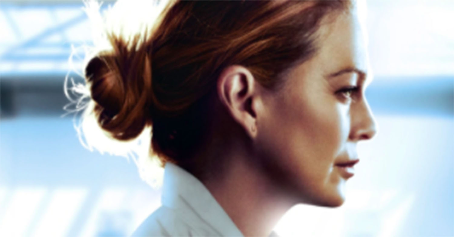 grey's anatomy series 17