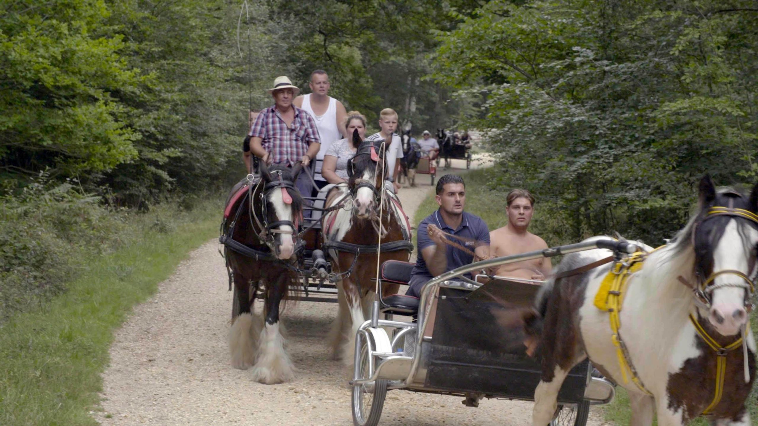 Who narrates Here Come the Gypsies? 