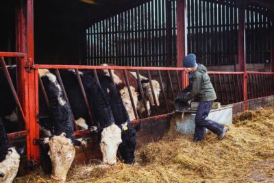 Presenter Kate Humble outside at farm feeding the cattle (Credit: Channel 5)