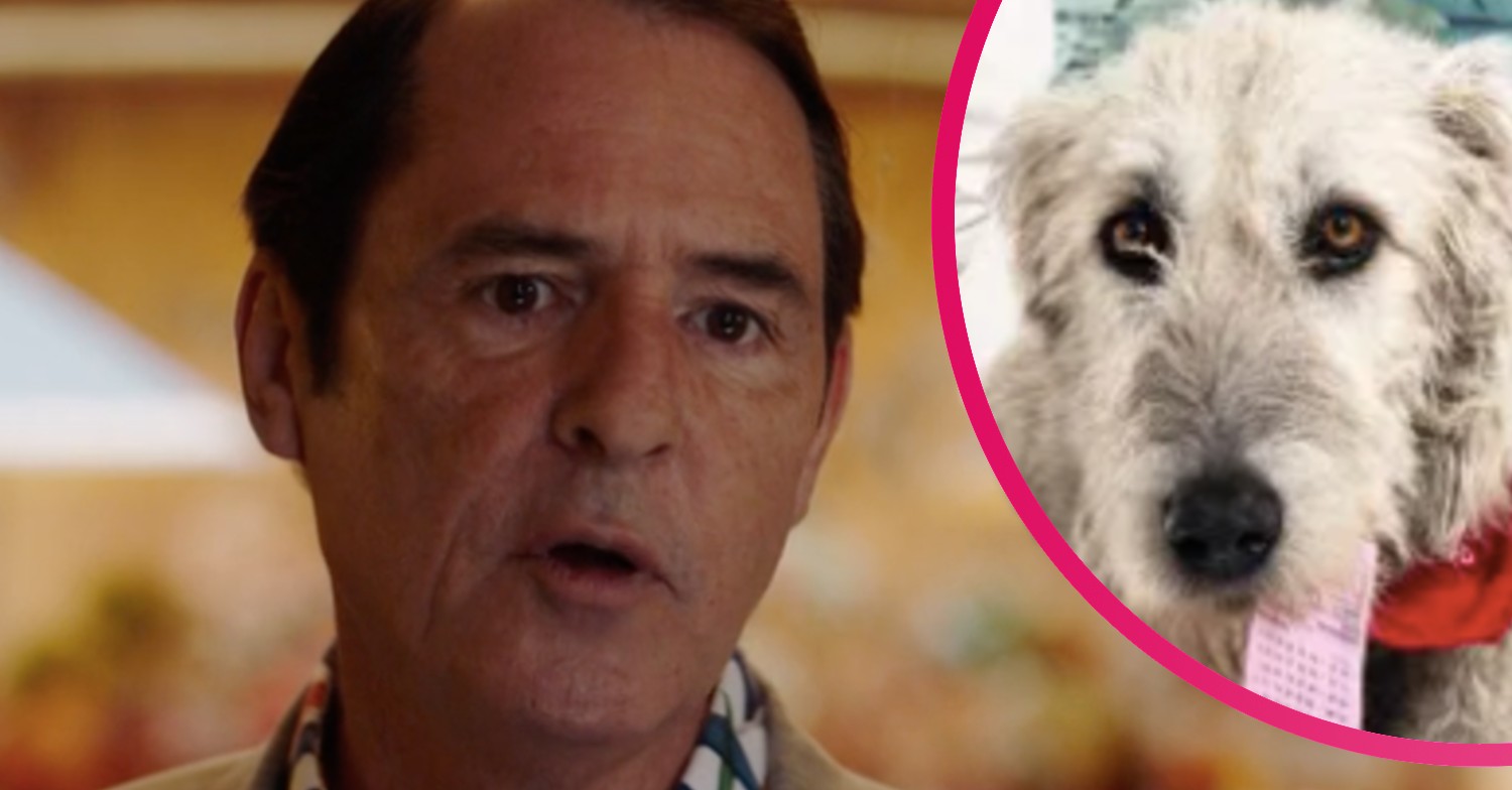 the syndicate series five rumours