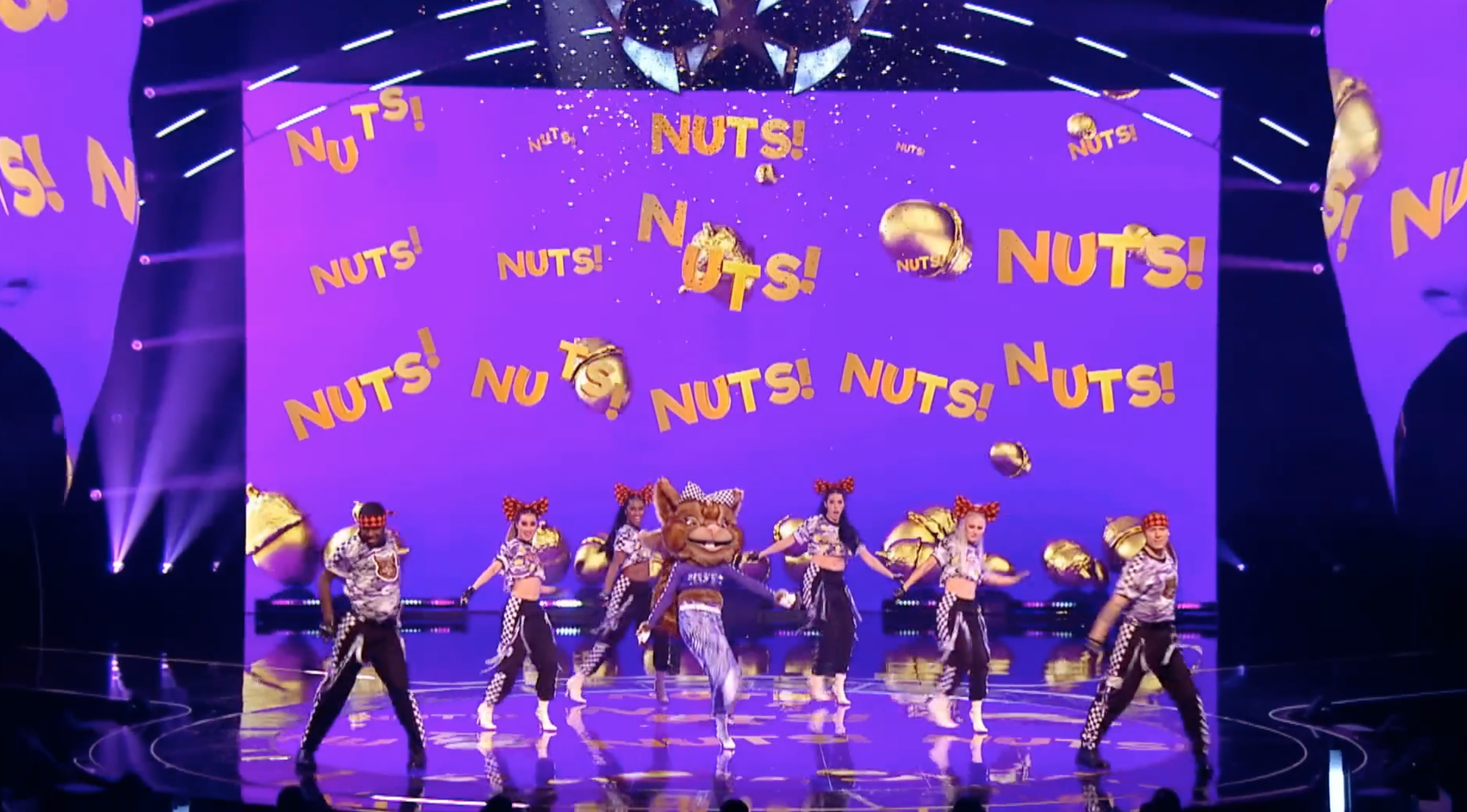 squirrel on the masked dancer