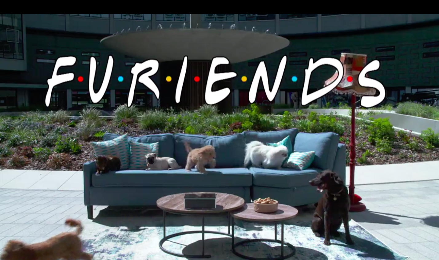This Morning spoofs famous Friends opening titles with cute dogs for mental health awareness week (Credit: ITV1)