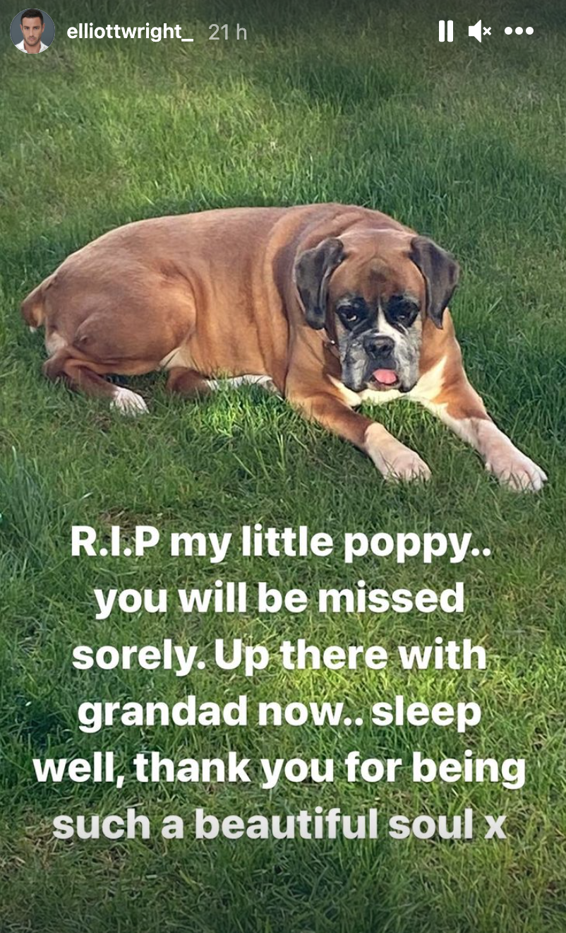 Elliott Wright dog death