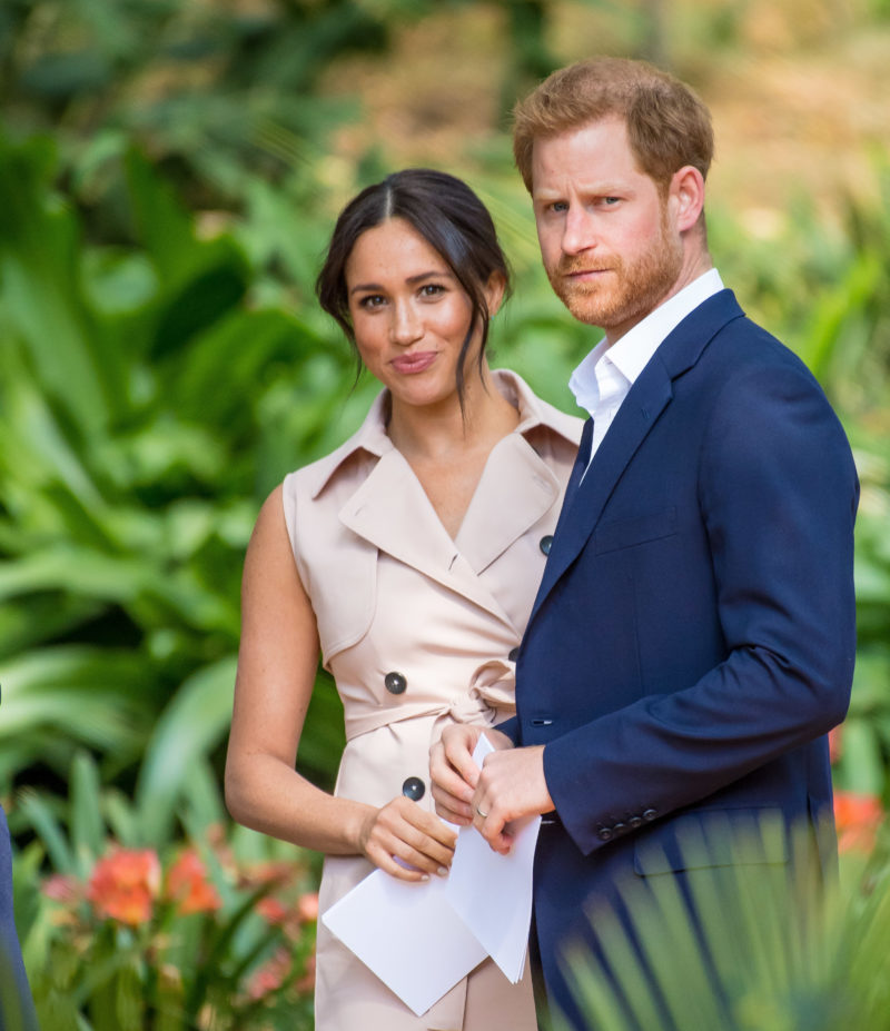 Prince Harry and Meghan 'should give up royal titles' say royal aides