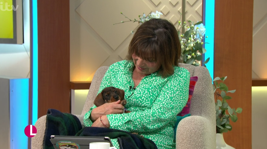 Lorraine Kelly dog Ruby