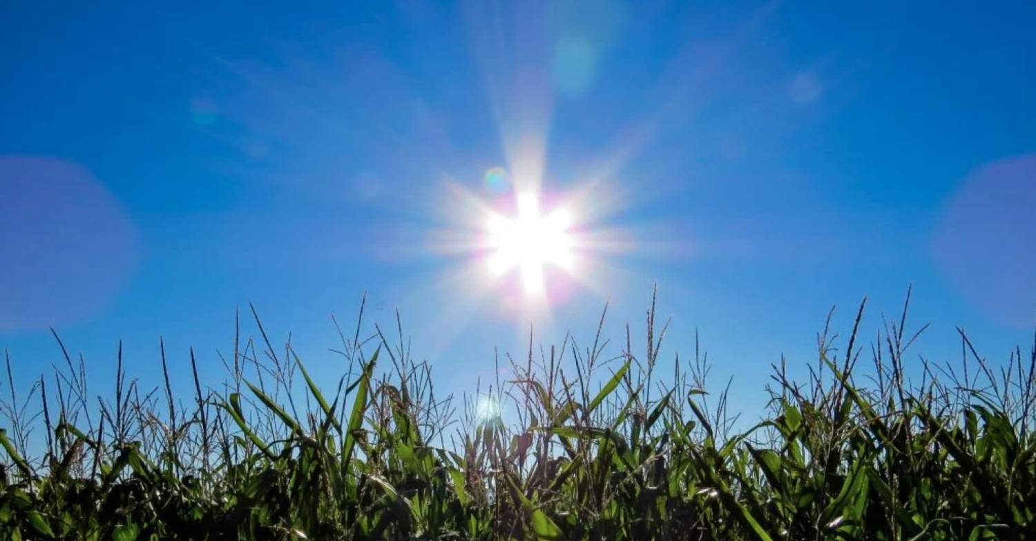 UK weather forecast: 'Bank holiday heatwave on the way' after miserable May