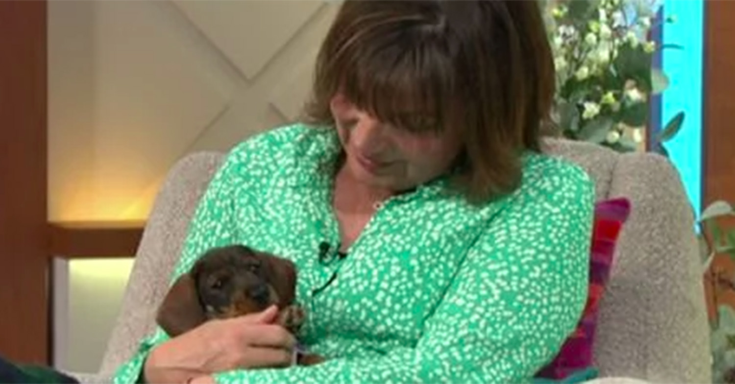 Lorraine Kelly with puppy Ruby