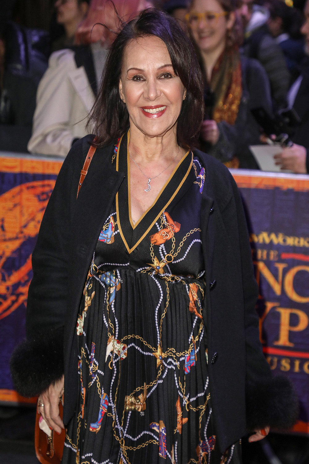 former bbc star arlene phillips 