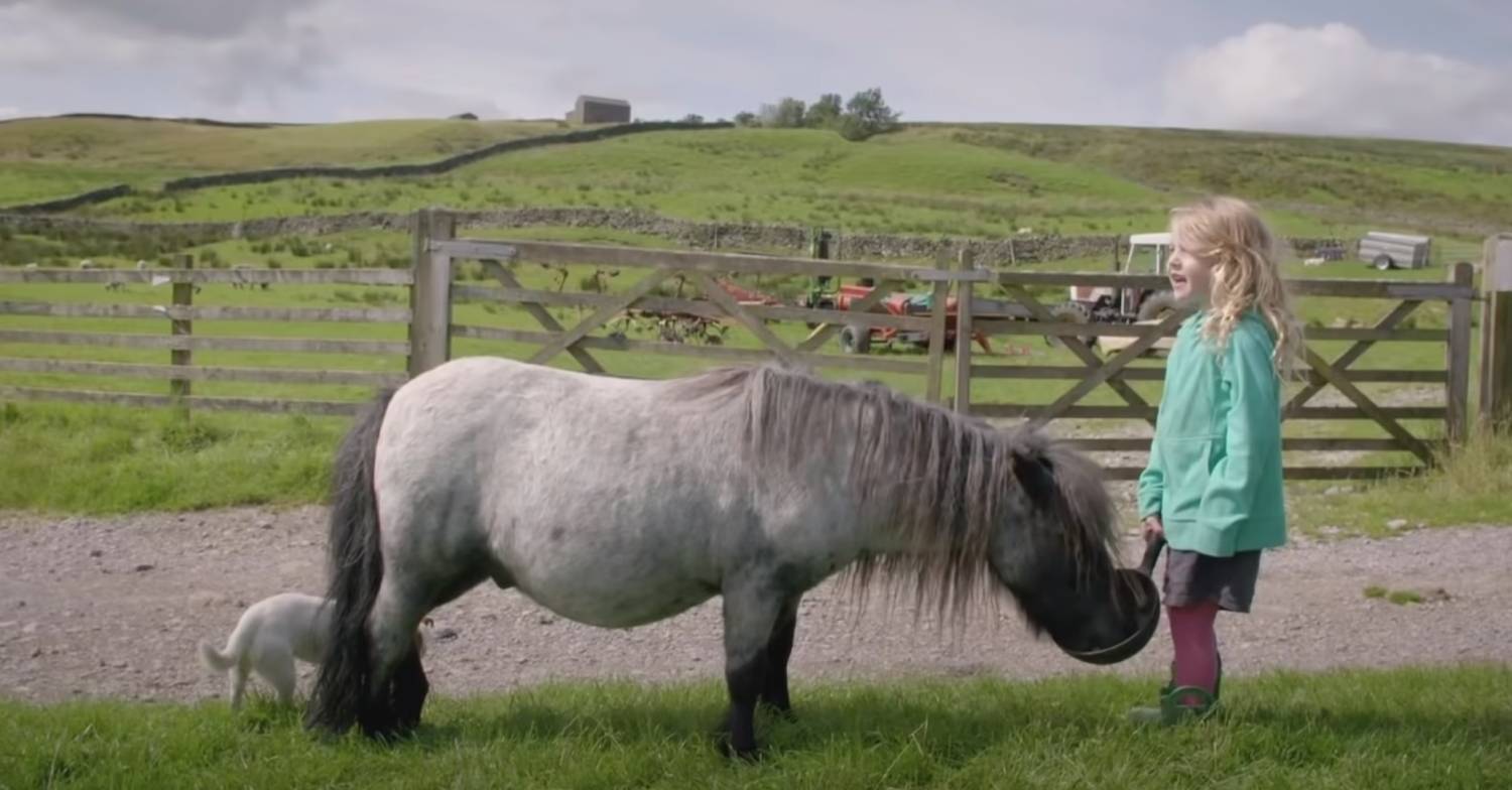 Amanda Owen children