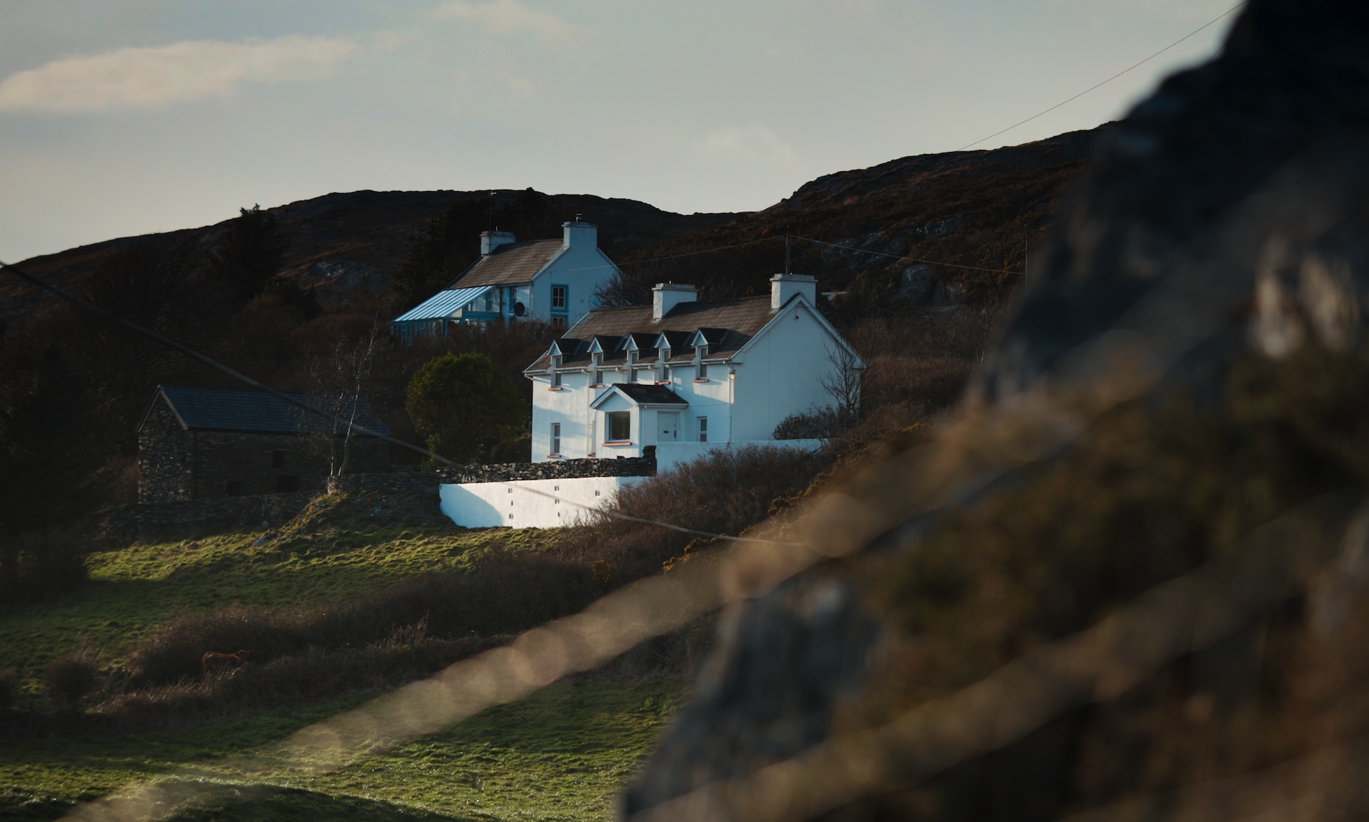 Sophie: A Murder In West Cork