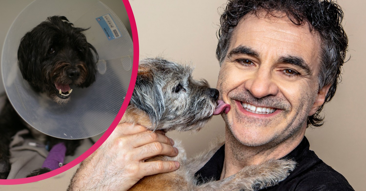 Where is Supervet based?