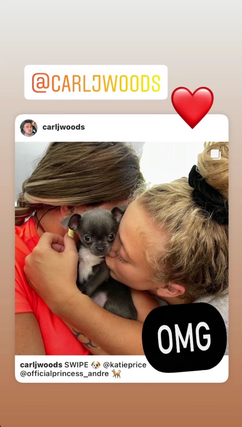 Katie Price Instagram