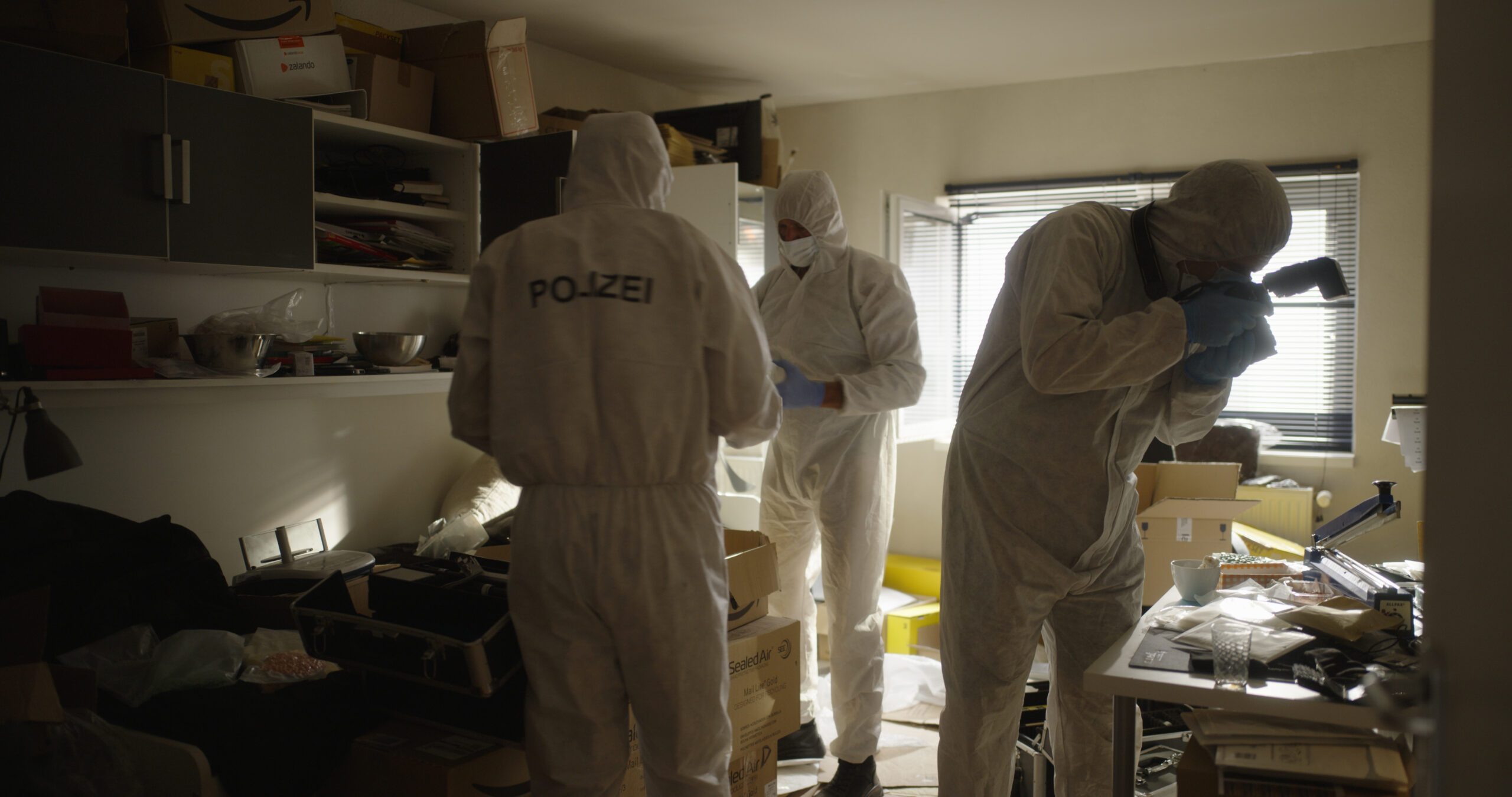 Shiny_Flakes - Netflix 