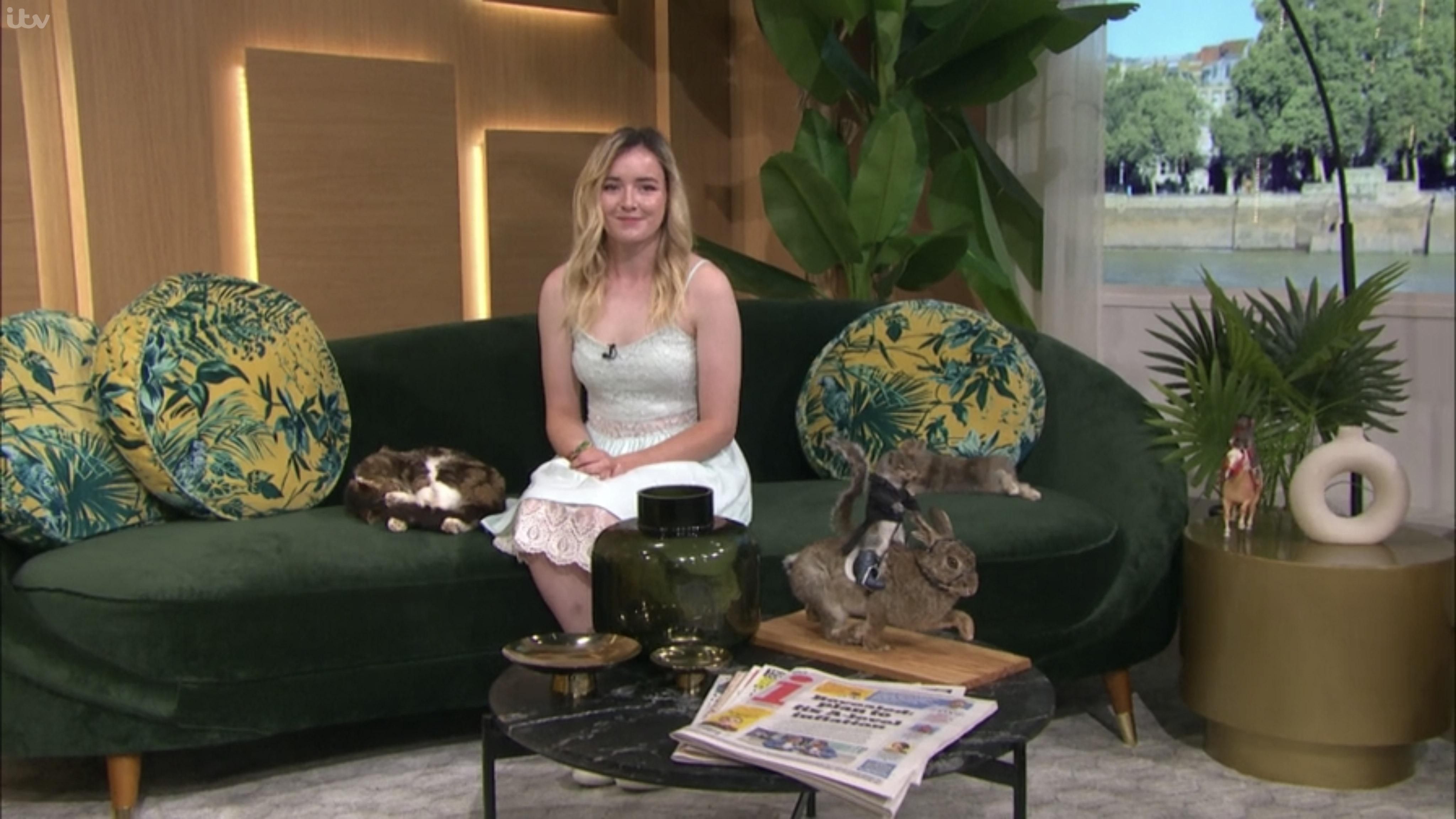 Chloe Lee shows her dead stuffed cat and other creations including rabbits head mounted and a rat riding a horse