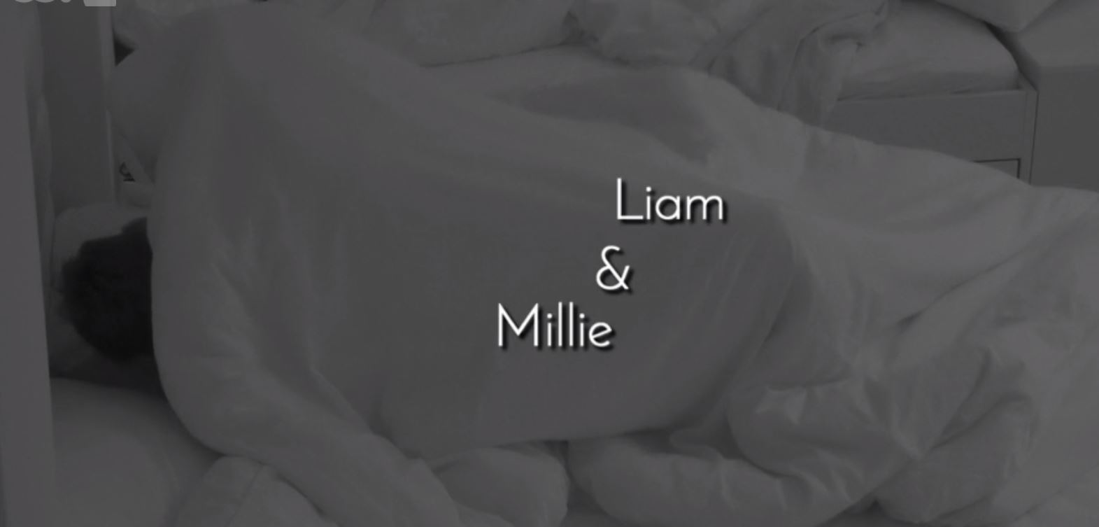 what does nvq mean on love island