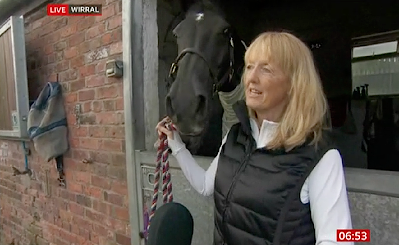 BBC Breakfast viewers were treated to a horse with an x-rated nickname