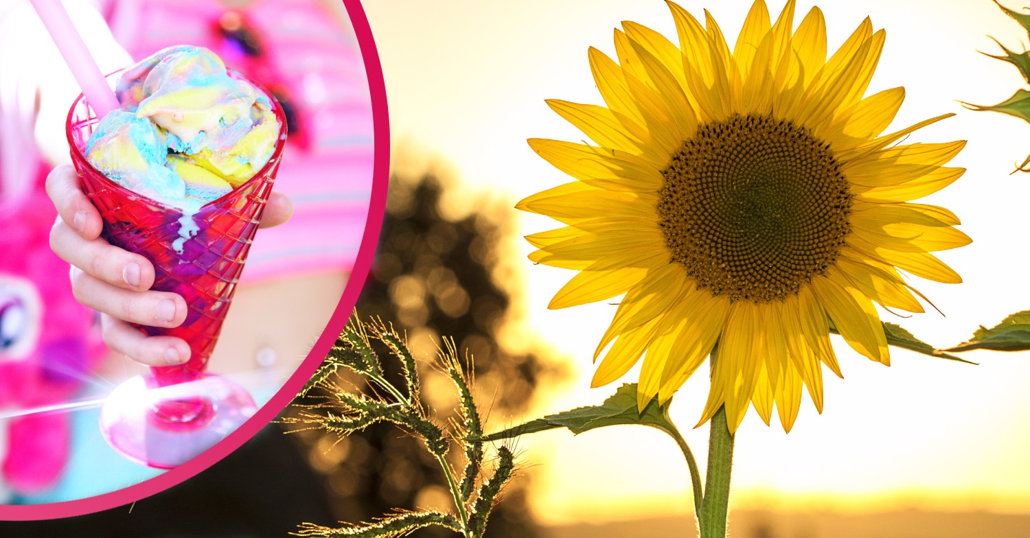 The UK Weather will remain dry and warm throughout the week