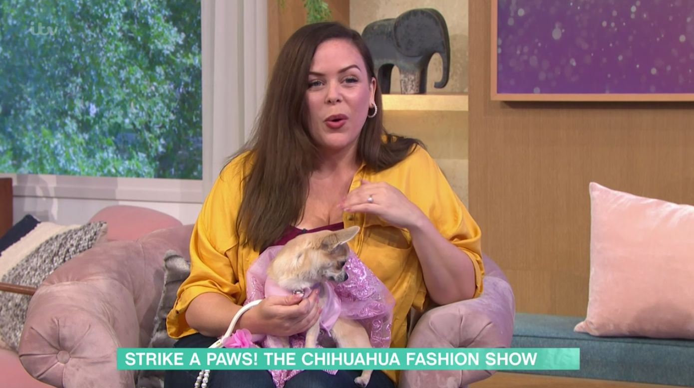 Chihuahua in a tutu on This Morning 