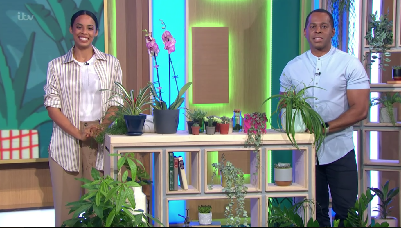 Andi Peters and Rochelle Humes on This Morning