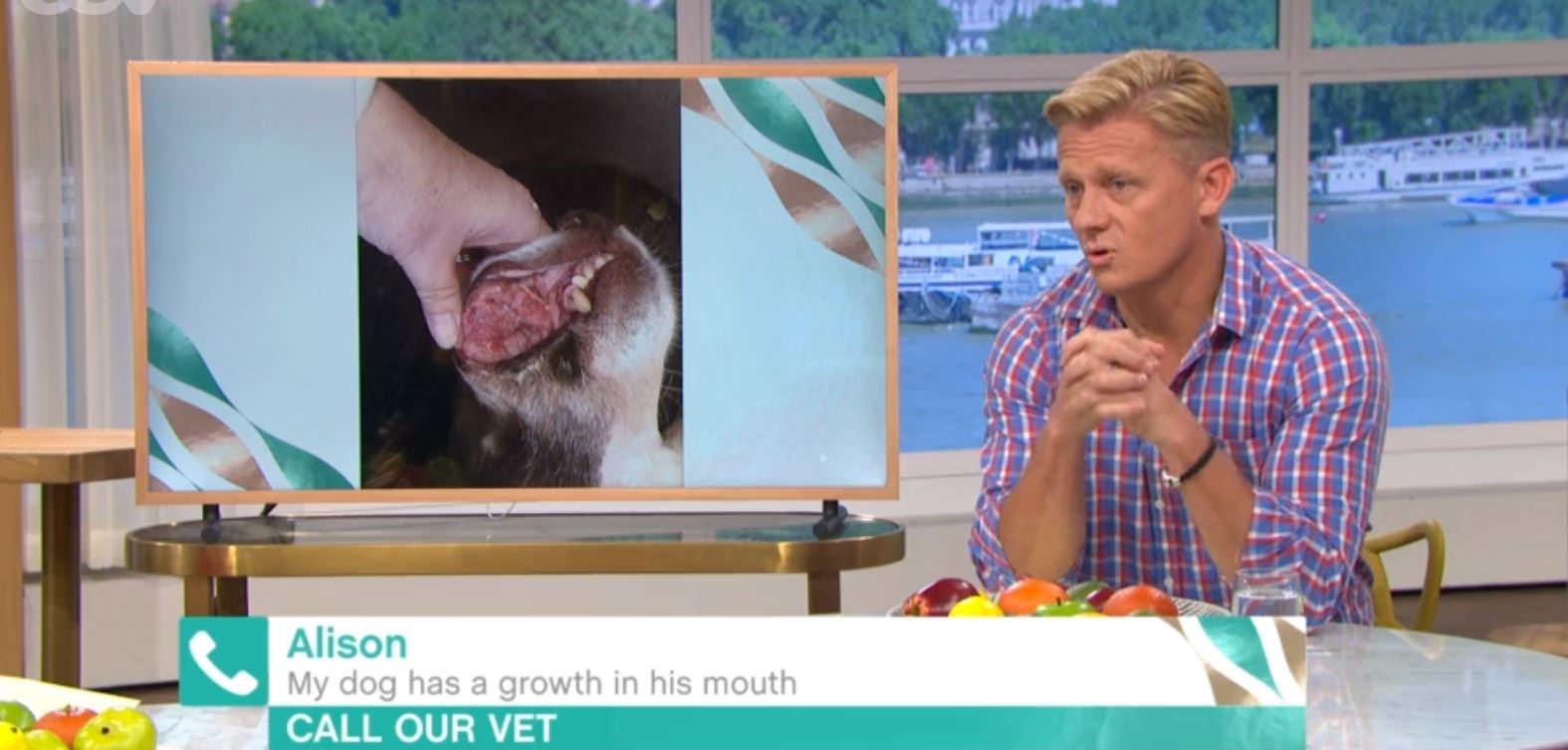 This Morning vet Dr Scott Miller offers advice to pet owners