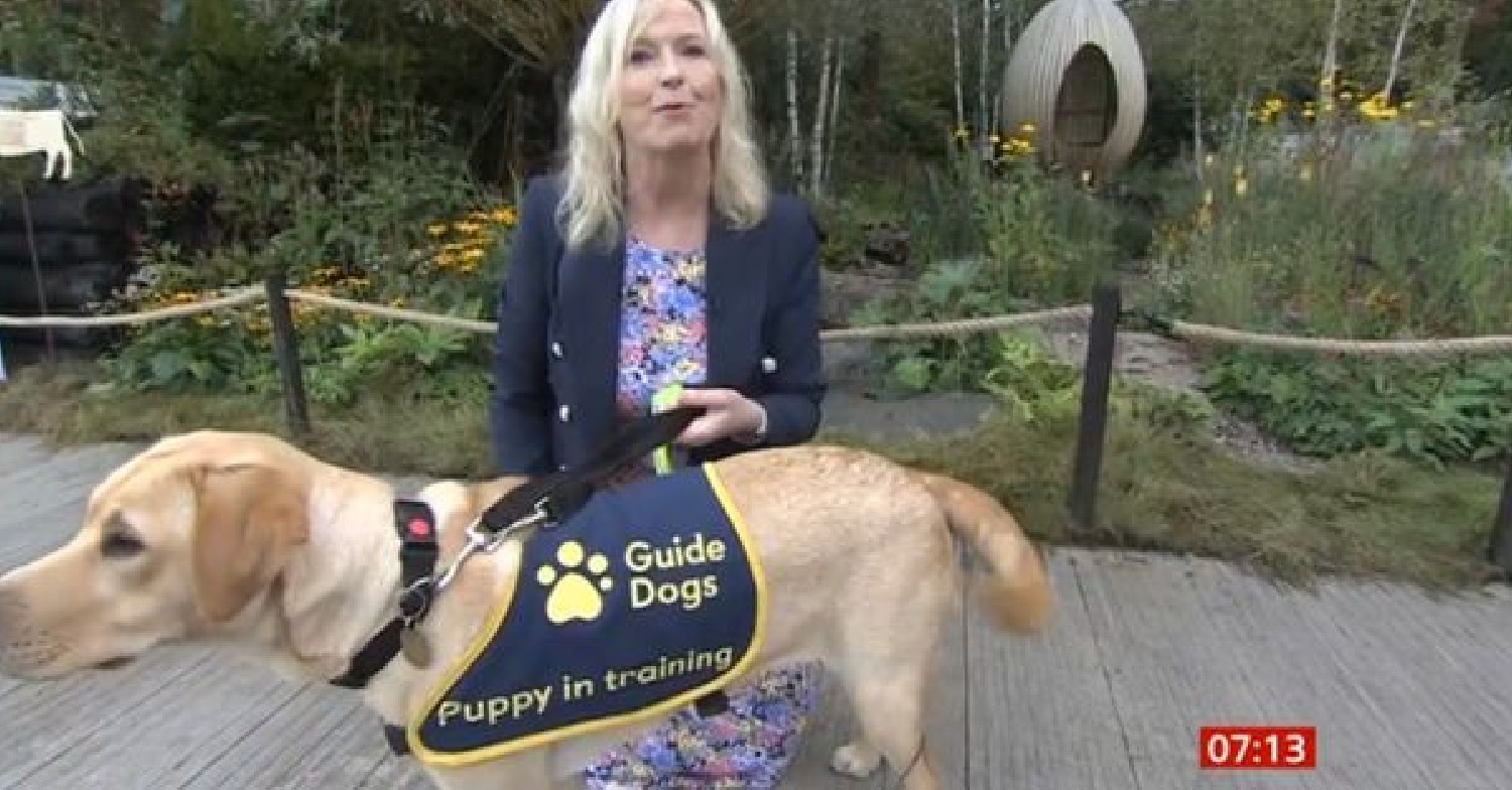 carol kirkwood bbc breakfast