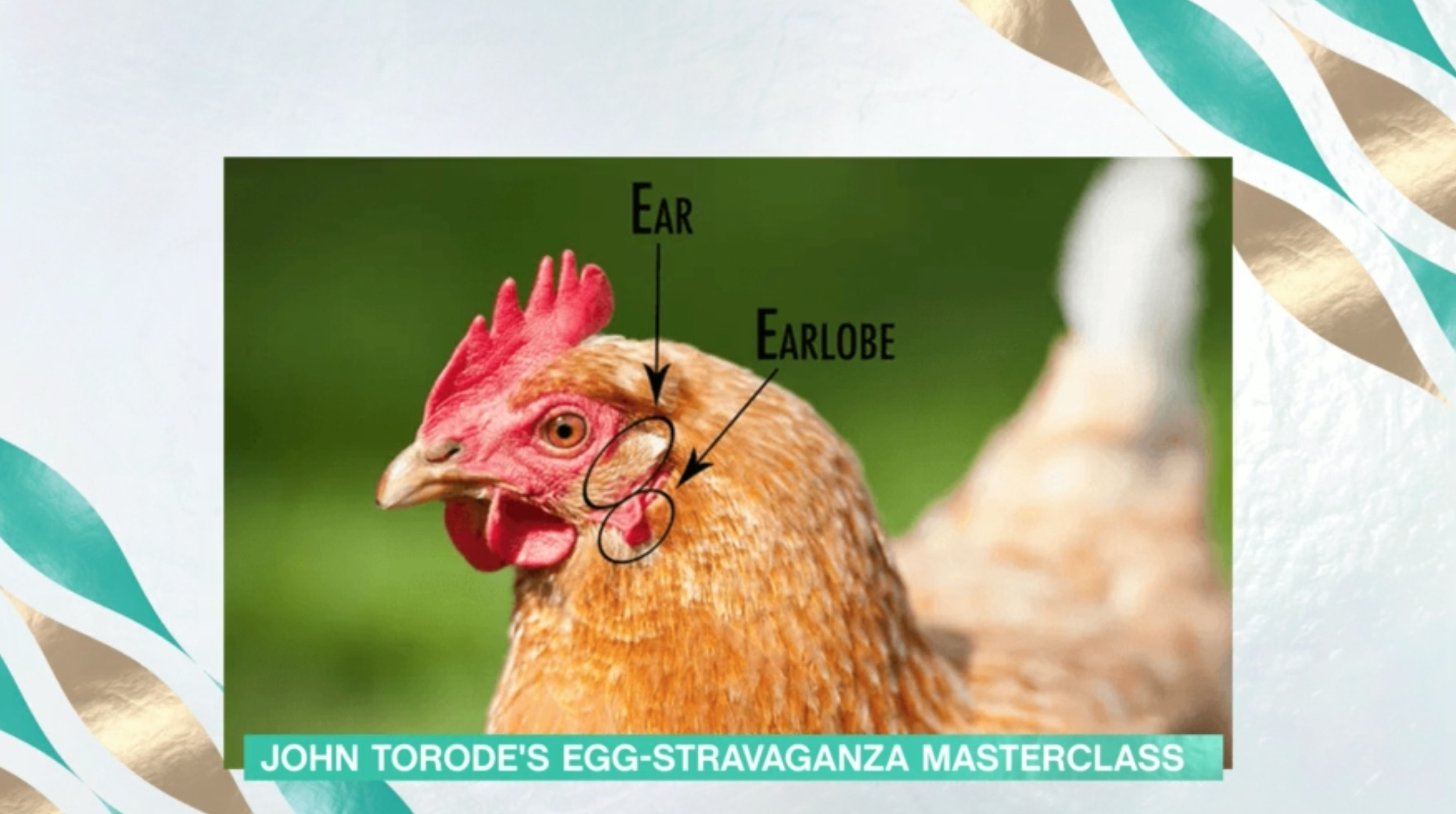 this morning recipes