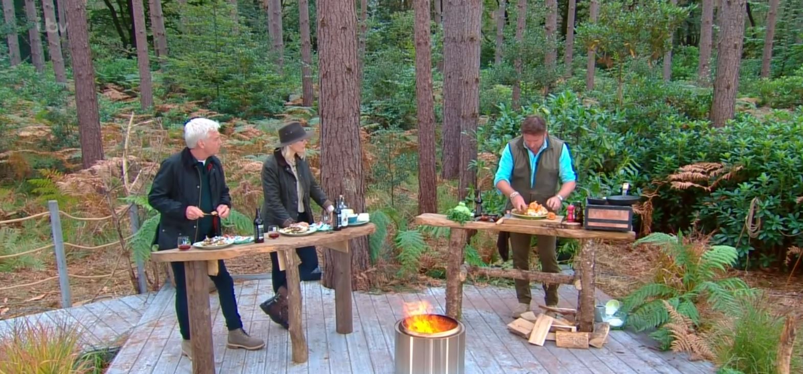 Holly Willoughby wears forest outfit for This morning today