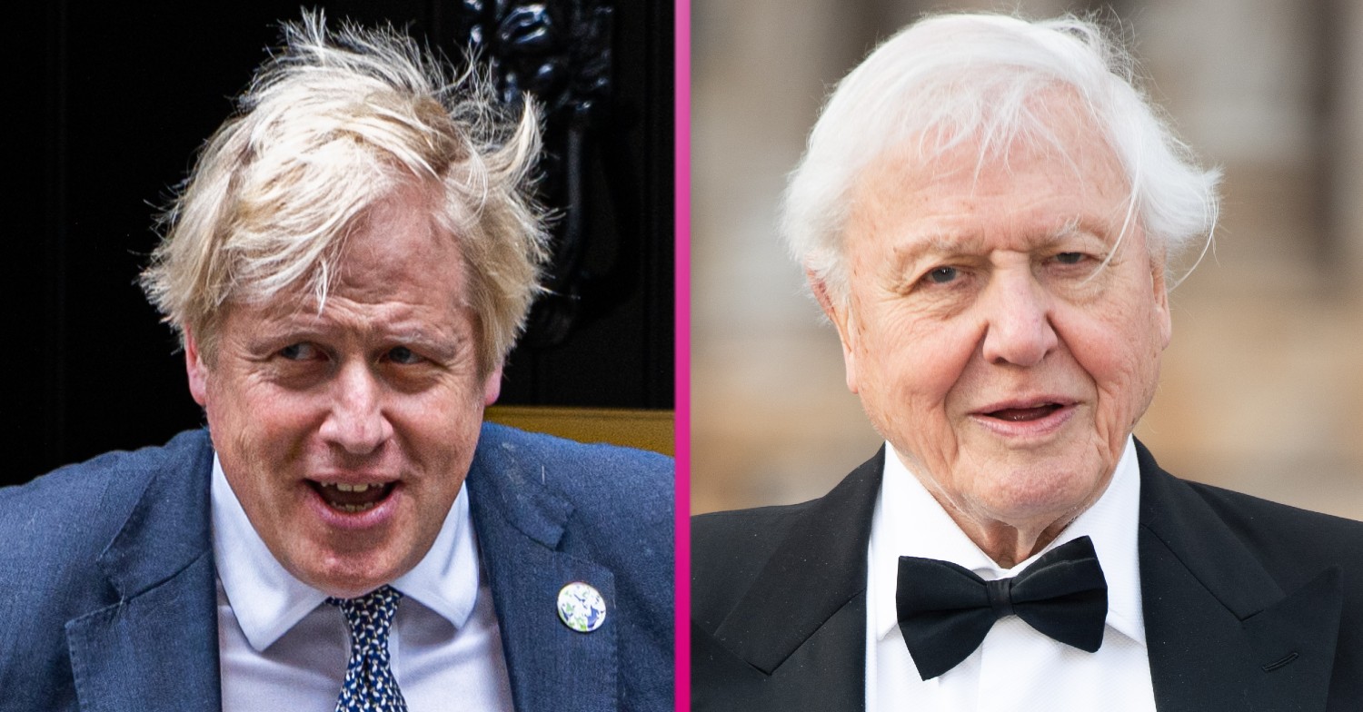 Boris David Attenborough