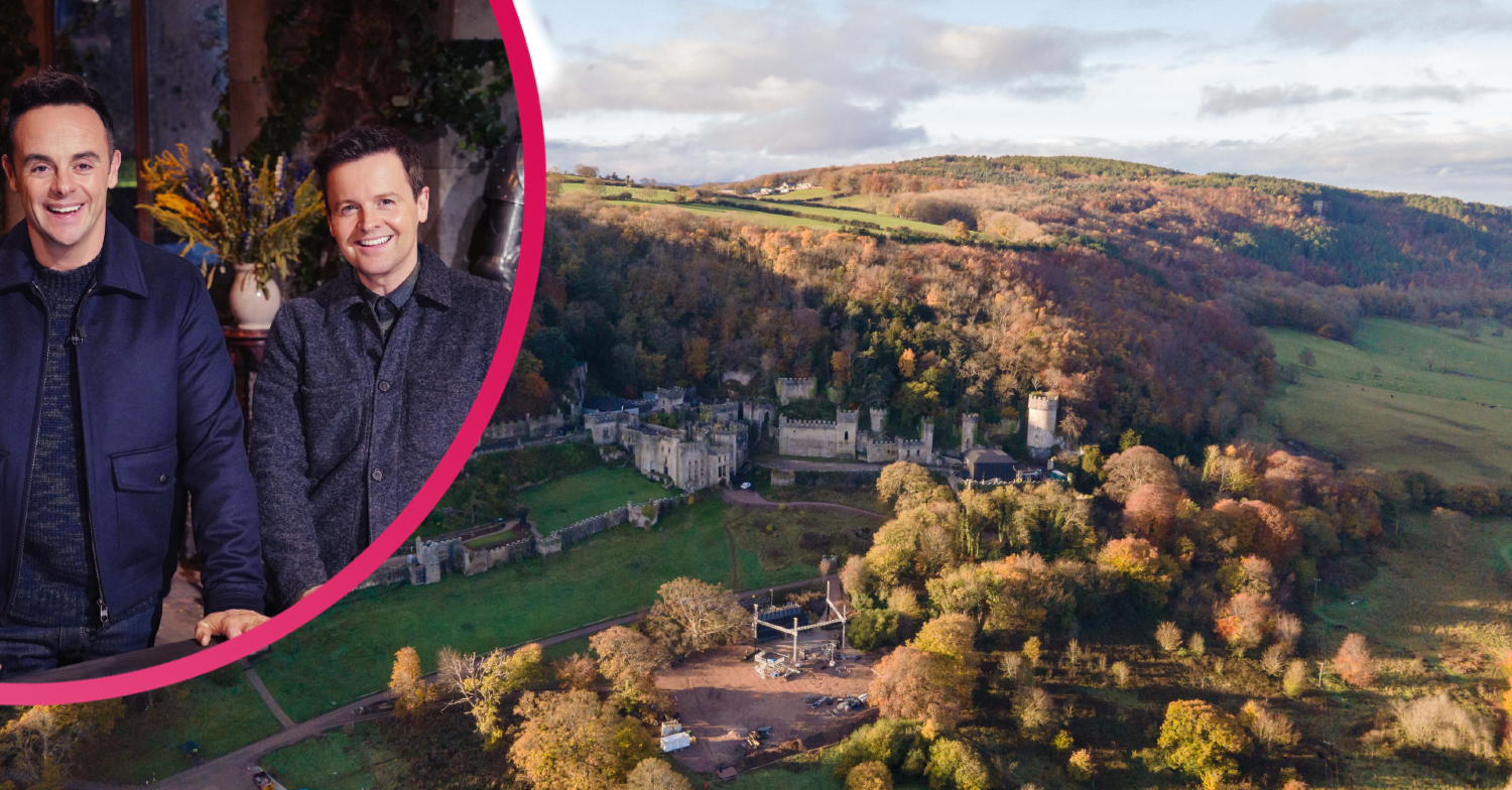 I'm a Celebrity castle