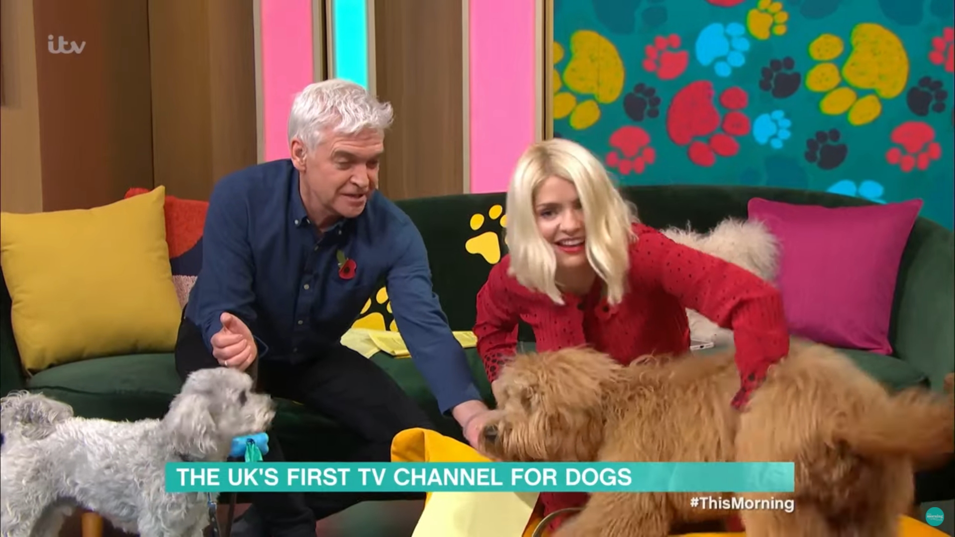 holly willoughby on this morning today