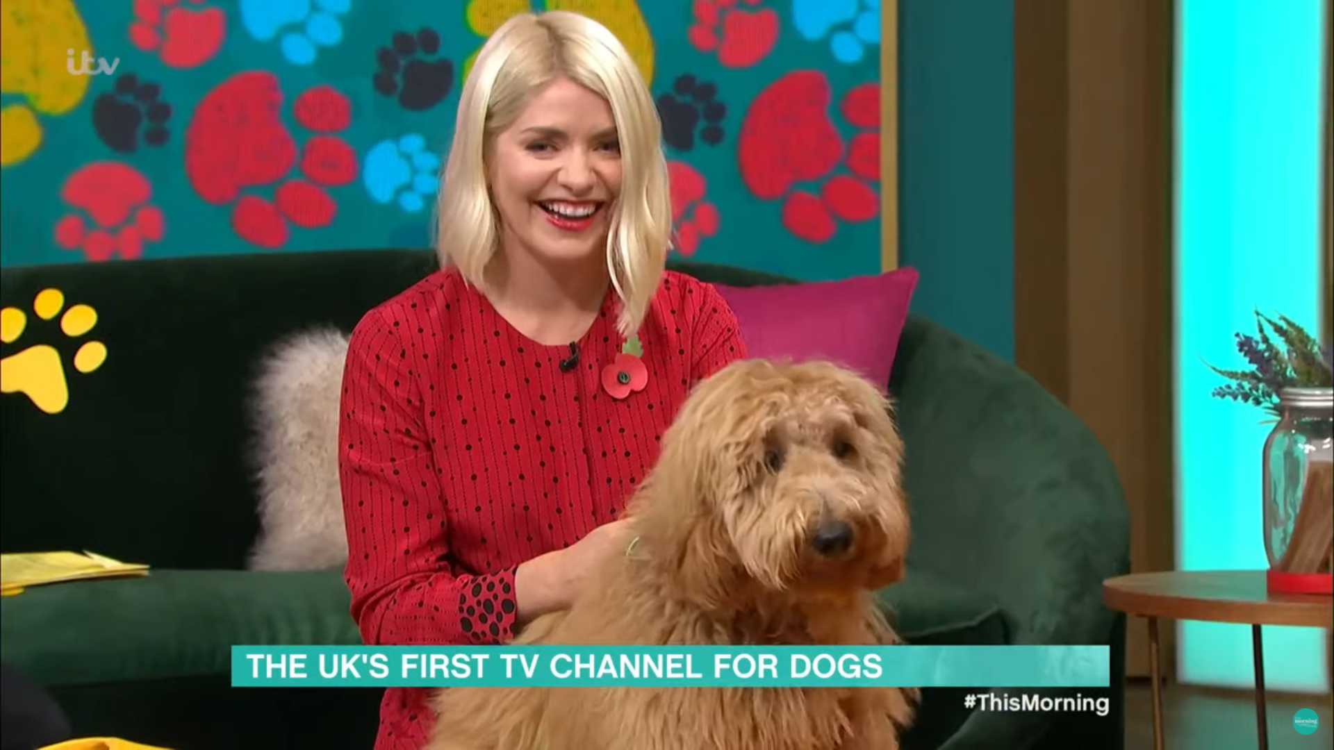 holly willoughby on this morning today