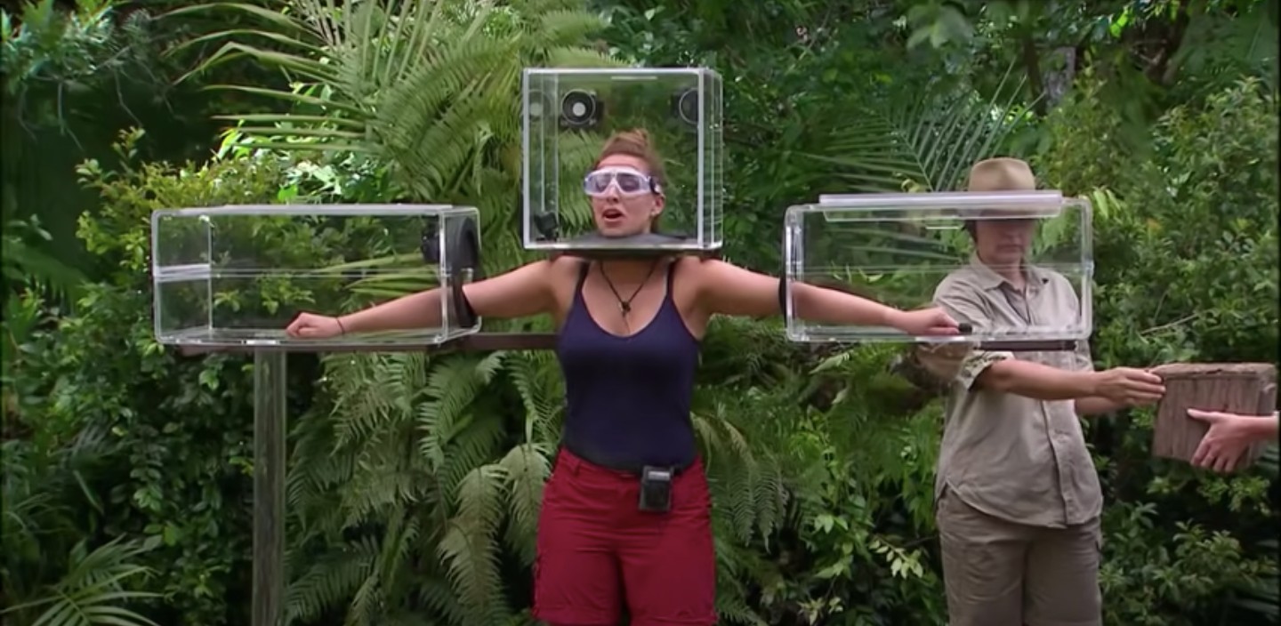 Ferne Mcann, Spencer Matthews and Vicky Pattinson Bushtucker trial