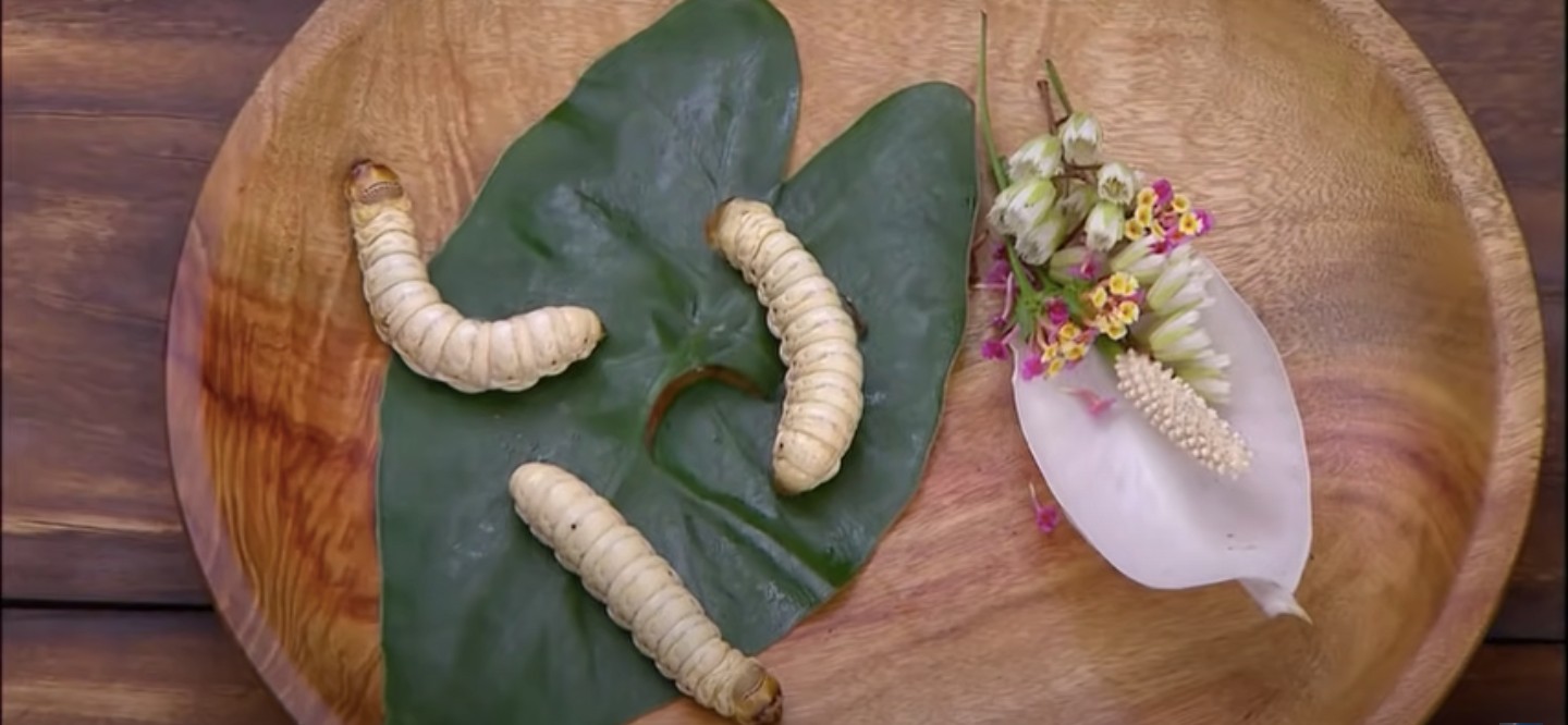 Ferne Mcann Bushtucker Trial