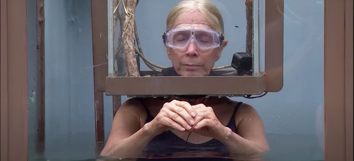 Lady C Bushtucker trial