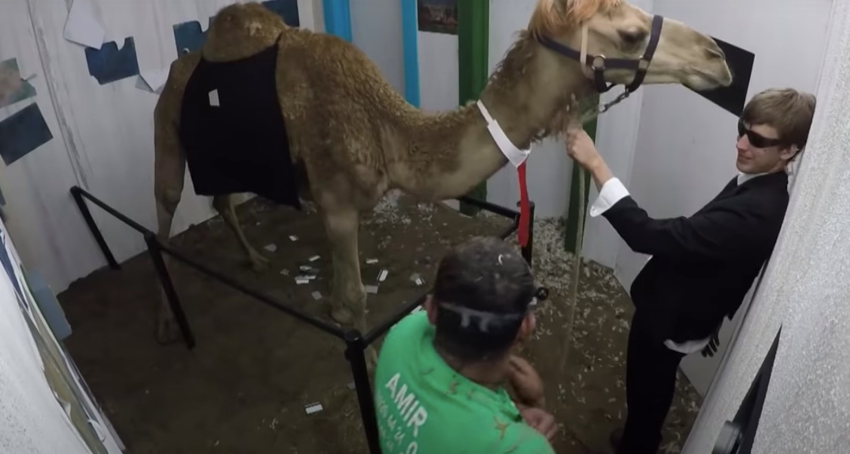 Amir Khan Bushtucker trial